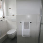 Dusche in Gäste-Toilette integriert