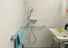 Haltegriffsystem Dusche