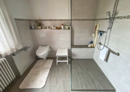 Geberit Dusch WC Schröter Haustechnik Badrenovierung